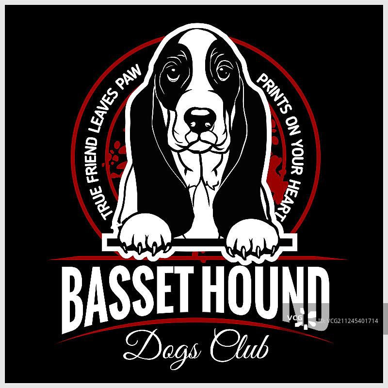 巴吉度猎犬T恤设计图片素材