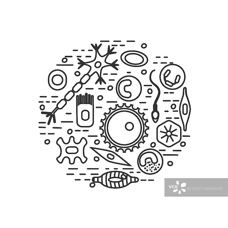 不同类型的人体细胞图片素材