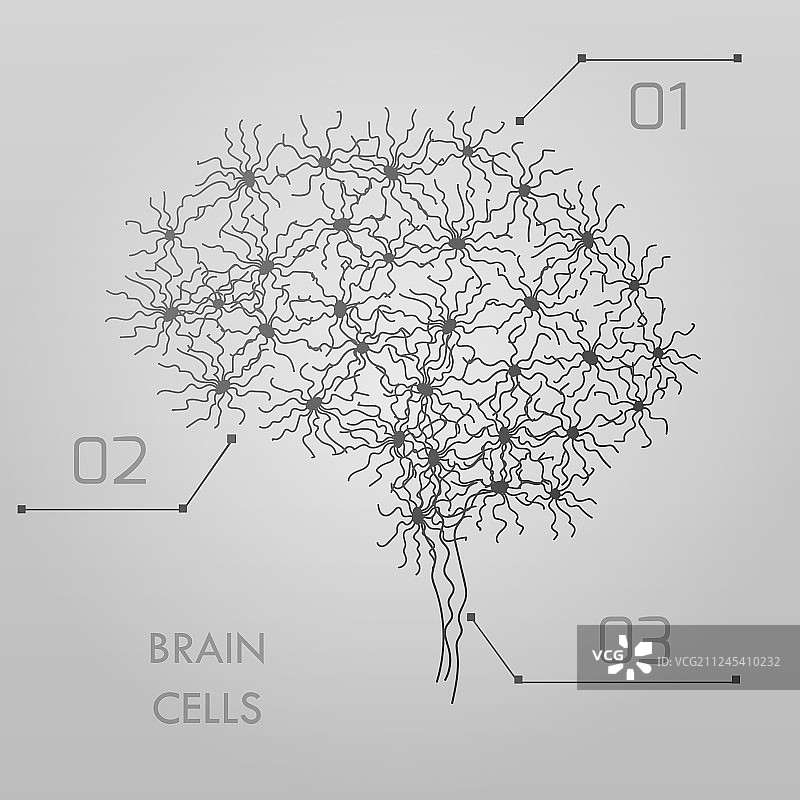 脑细胞连接体图片素材