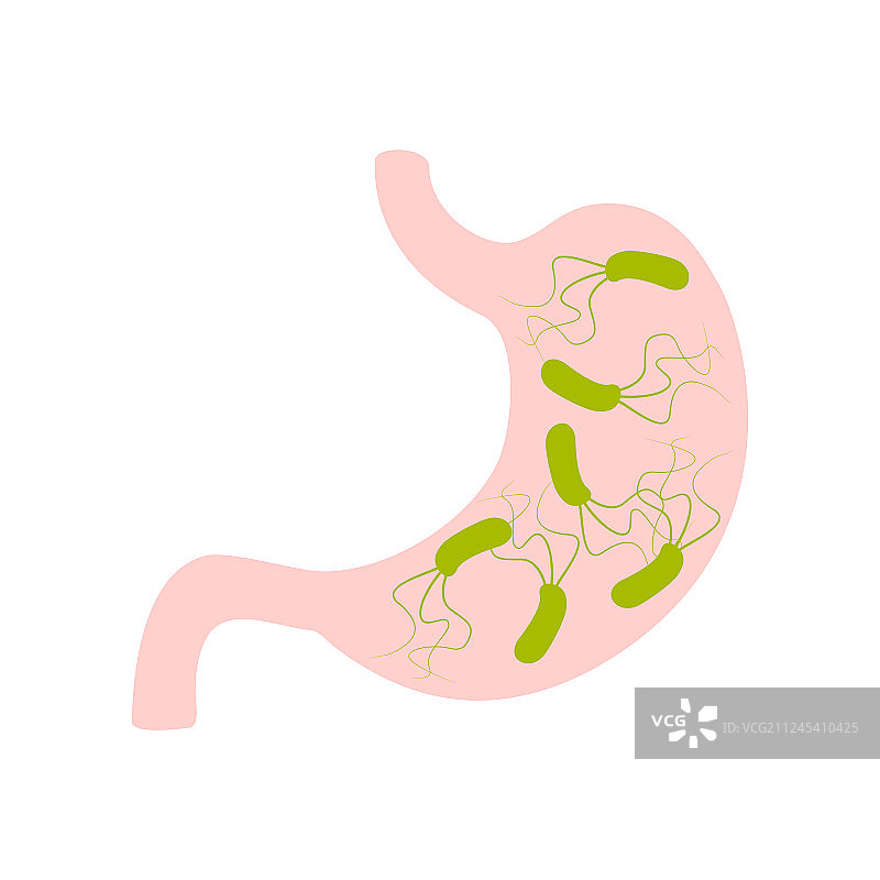 带有幽门螺杆菌的胃部扁平图标图片素材