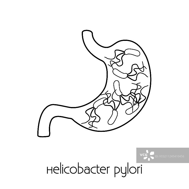 带有幽门螺杆菌的胃部黑色轮廓图片素材