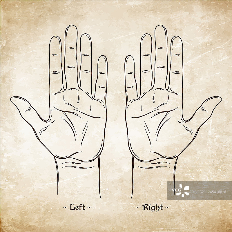 手相术空白图表模板图片素材