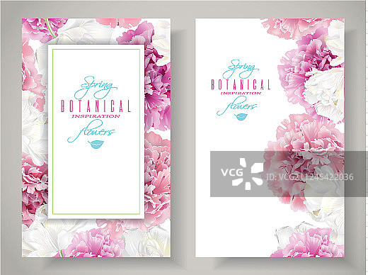 牡丹郁金香banner图片素材