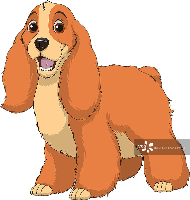 有趣的纯种可卡犬图片素材