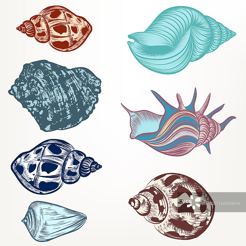 复古手绘风格贝壳套装图片素材