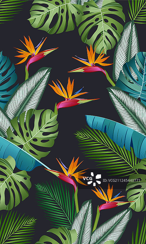 热带鸟类天堂无缝模式图片素材