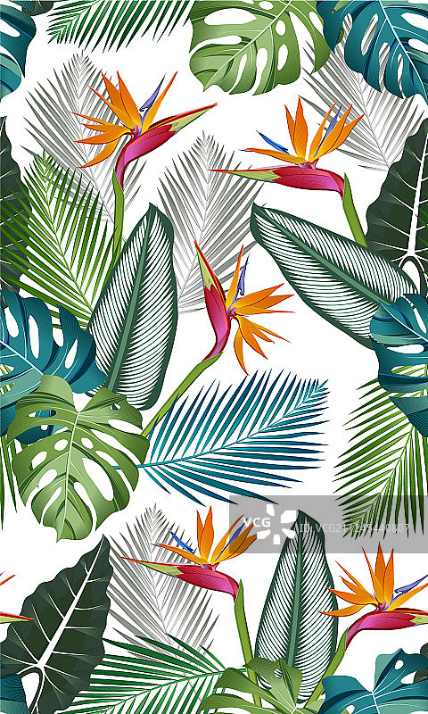 热带鸟类天堂无缝模式图片素材