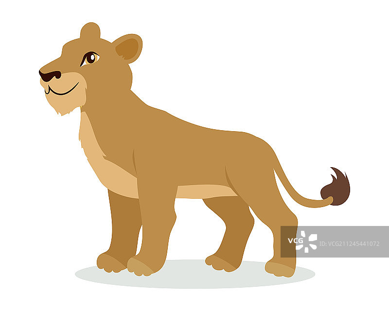 扁平设计的母狮或小狮子卡通图标图片素材