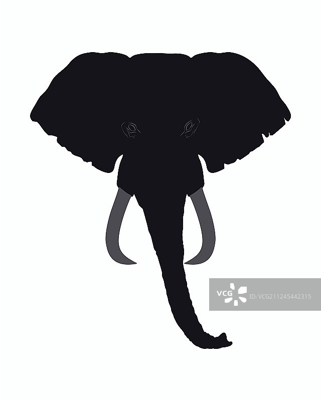 大象头部正面轮廓图片素材