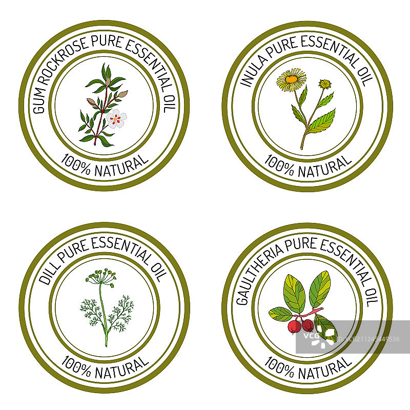 精油标签套装：岩蔷薇和旋覆花图片素材