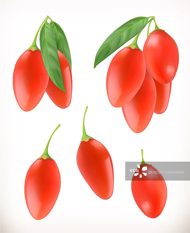 逼真的枸杞3D图标集图片素材