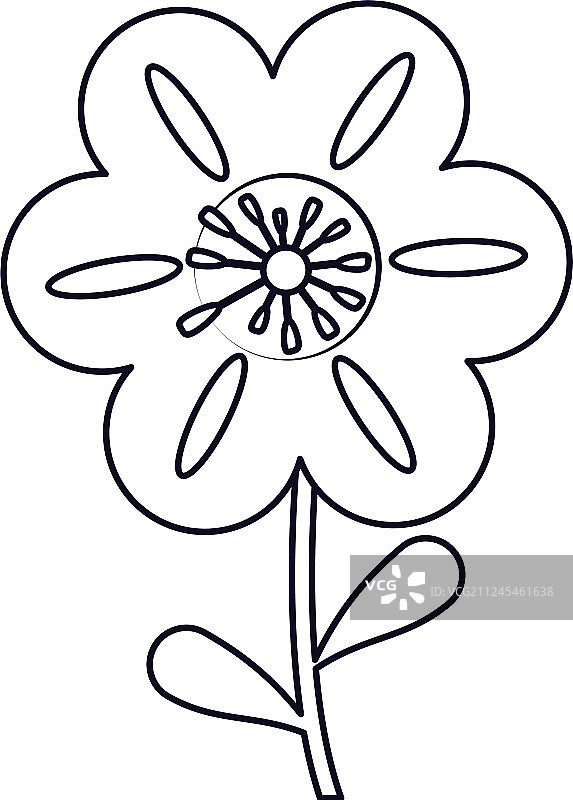 矮牵牛花装饰线条图片素材