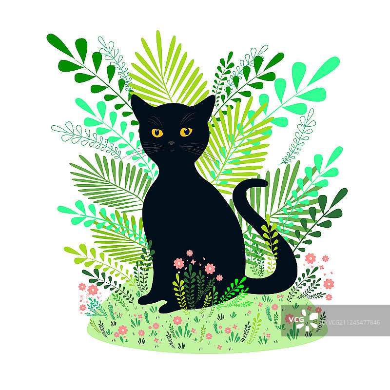 美丽的黑猫坐在背景前图片素材