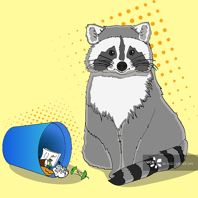 浣熊在垃圾桶里觅食图片素材