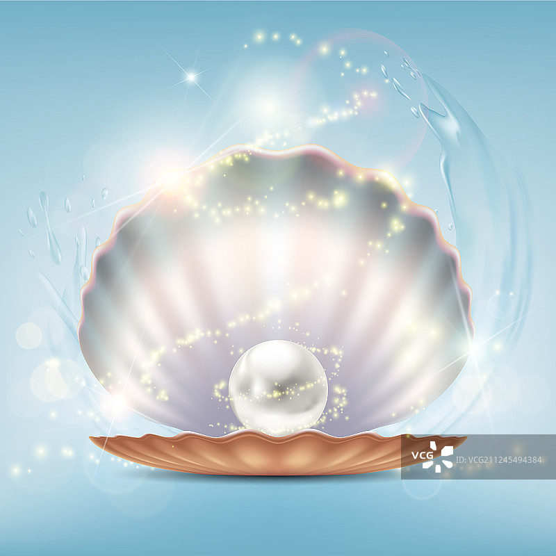 带有珍贵珍珠的开放式美丽贝壳图片素材