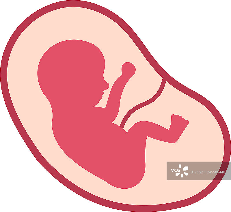 孤立的子宫内婴儿胎儿图标图片素材