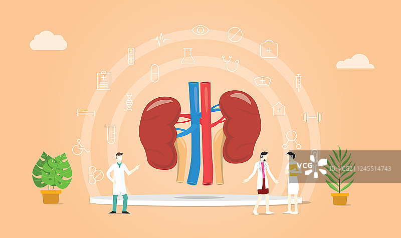 医生团队讨论的人体肾脏健康图片素材