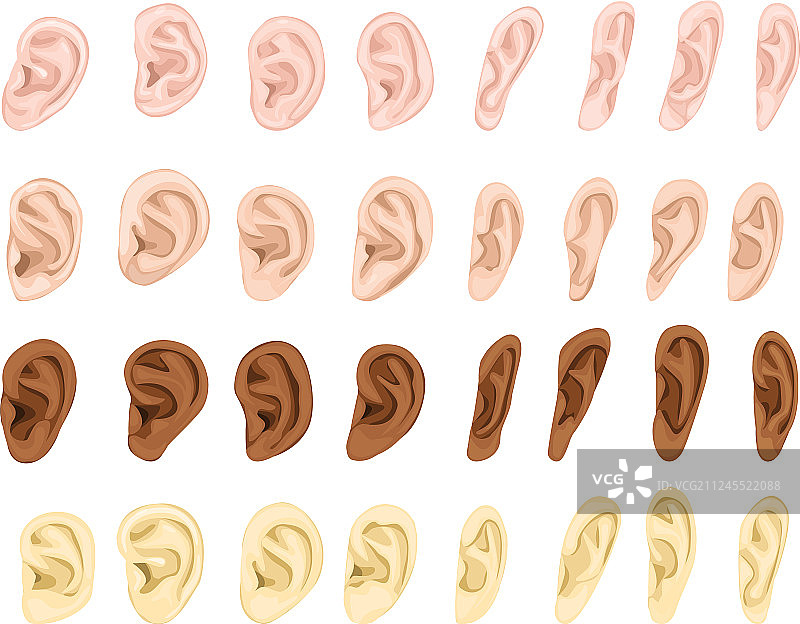 人耳耳膜绳索听力声音图片素材