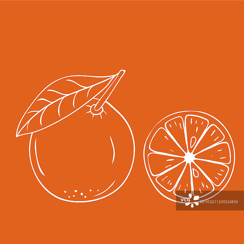手绘橙子水果涂色图案图片素材