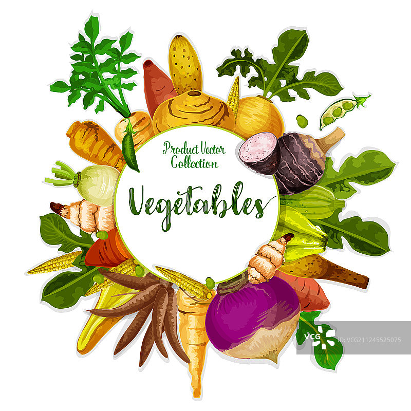 蔬菜和根块类蔬菜收获图片素材