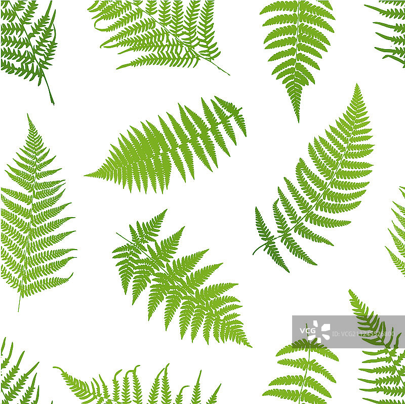 蕨类植物无缝图案图片素材