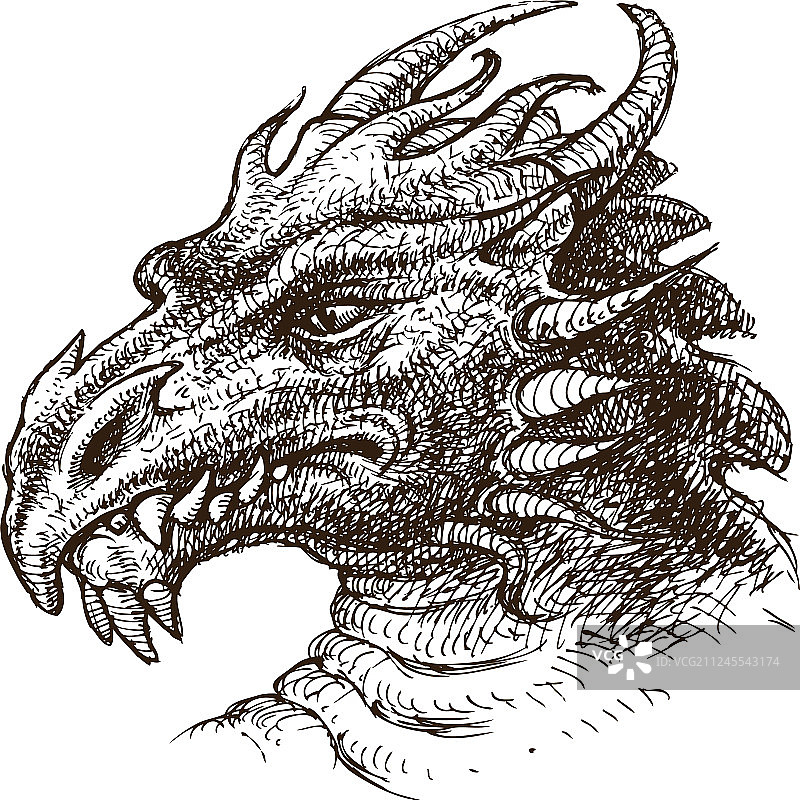 手绘奇幻龙头像图片素材