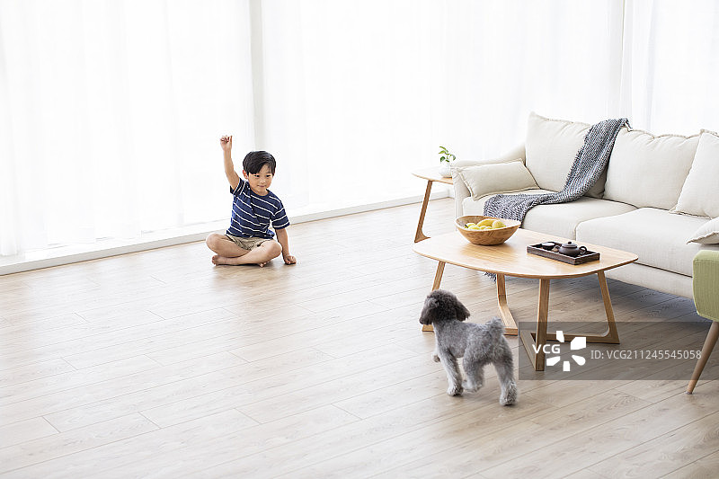 小男孩在家和狗玩耍图片素材