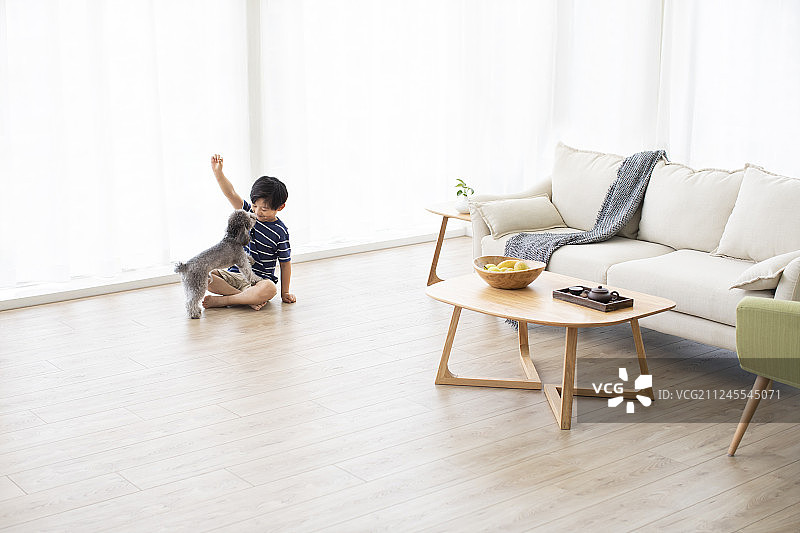 小男孩在家和狗玩耍图片素材