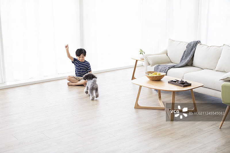 小男孩在家和狗玩耍图片素材