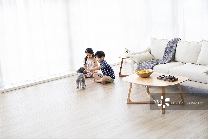 兄妹俩在家和狗玩耍图片素材