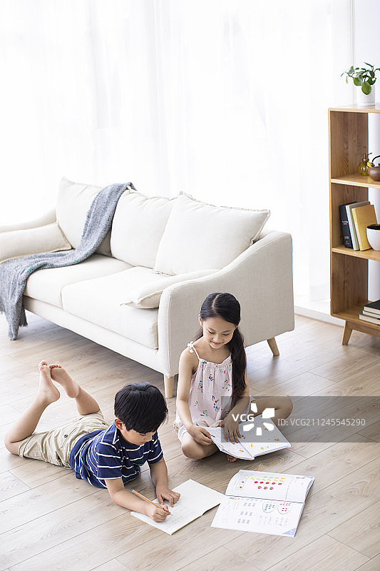 姐弟俩在客厅学习图片素材