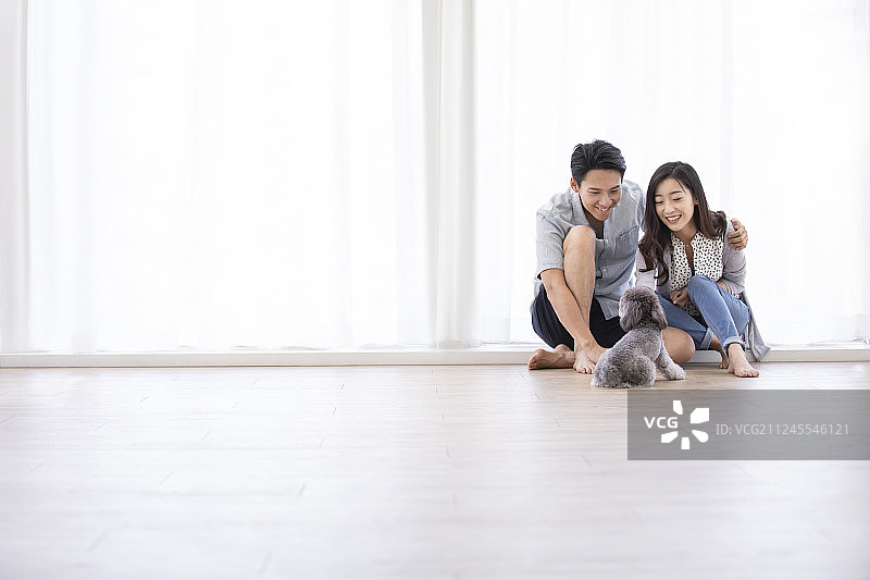 快乐的年轻情侣在客厅和狗玩耍图片素材