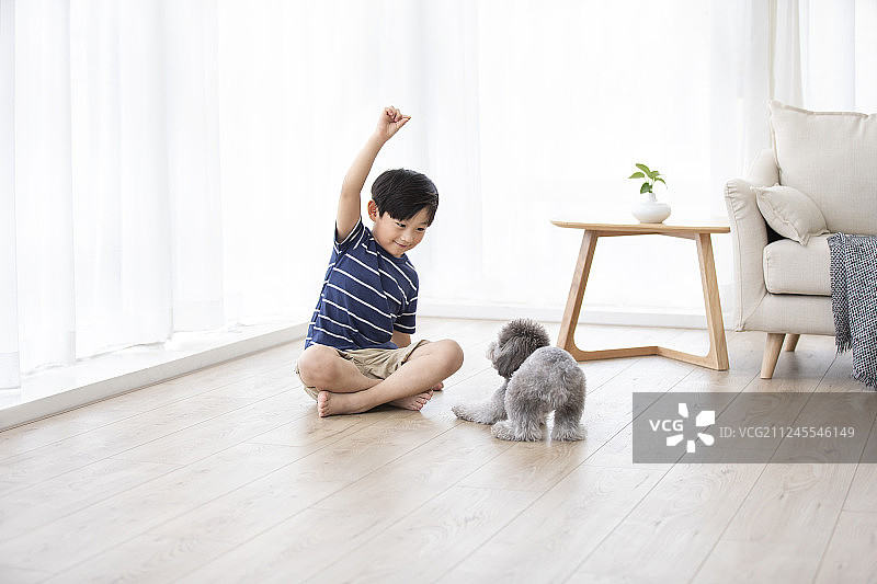 小男孩在家和狗玩耍图片素材