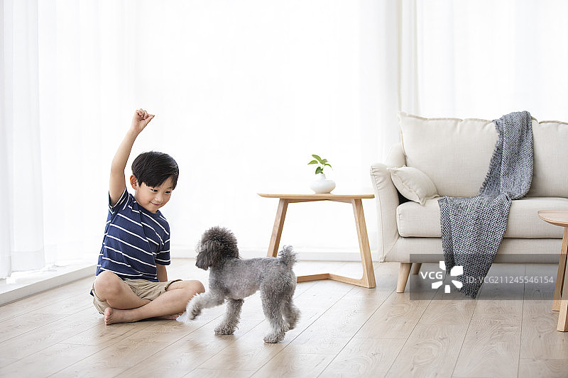 小男孩在家和狗玩耍图片素材