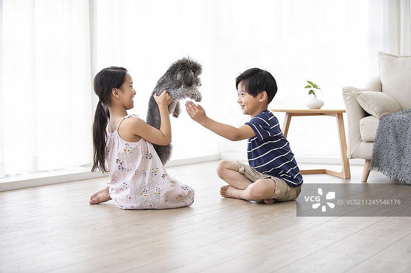 兄妹俩在家和狗玩耍图片素材