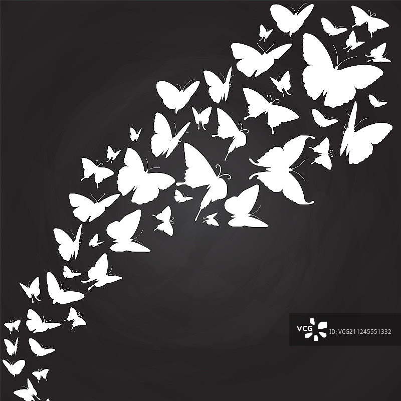 黑板上的白色蝴蝶剪影图片素材