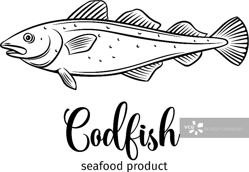 鳕鱼图片素材