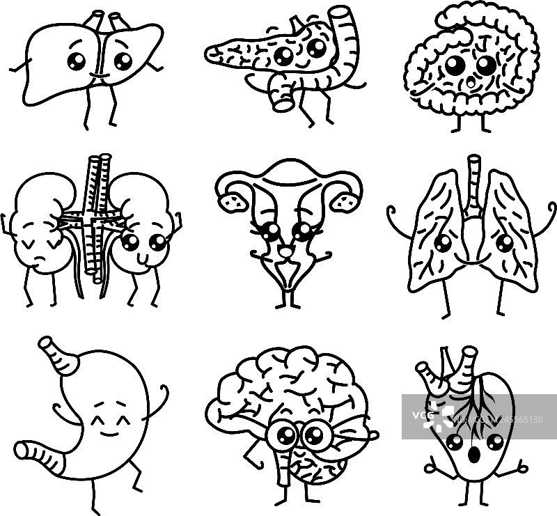 快乐的微笑人体器官图片素材
