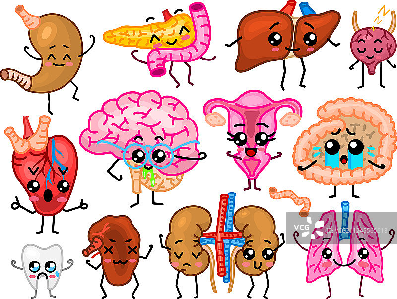 快乐的微笑人体器官图片素材