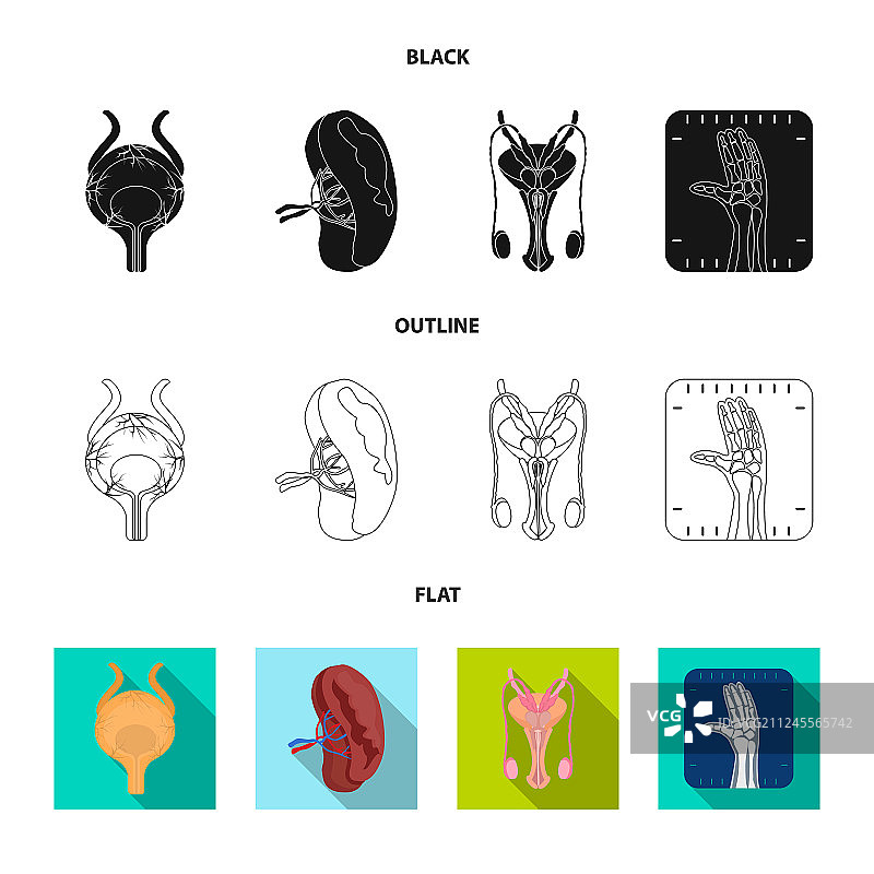 身体与人体符号设计图片素材