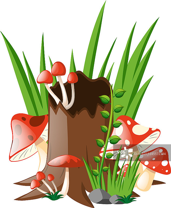 花园里生长的红色蘑菇图片素材