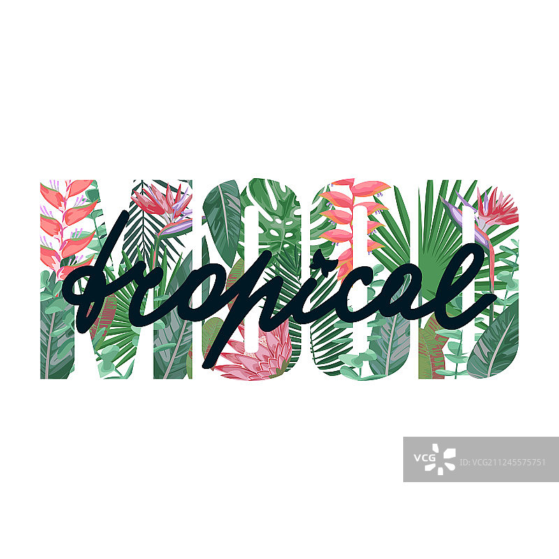 热带风情异域植物T恤印花图案图片素材