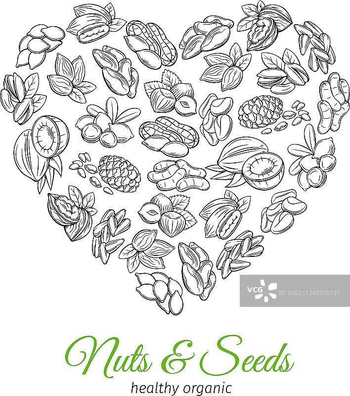 手绘坚果和种子图片素材