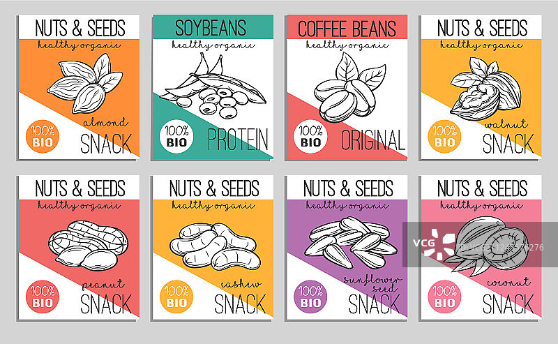 坚果和种子图片素材