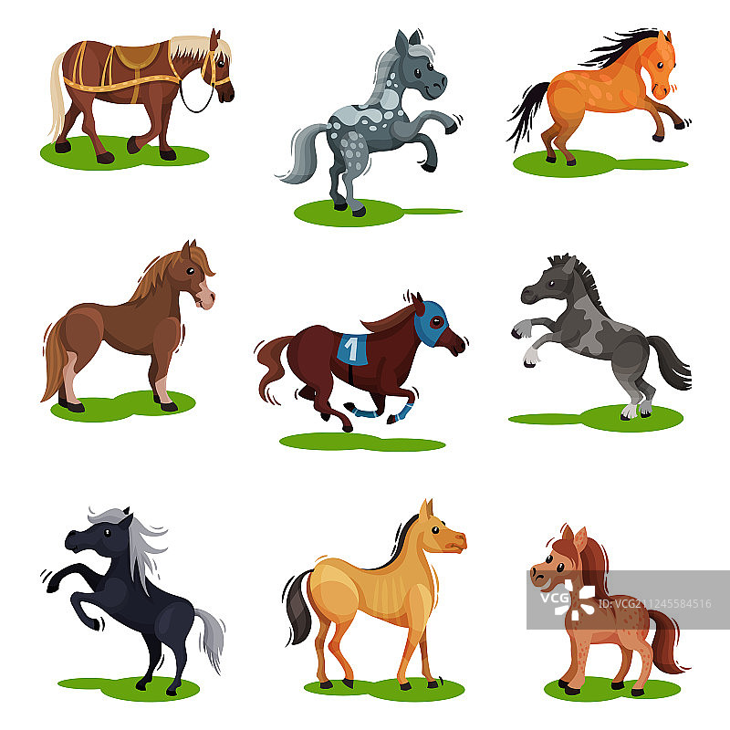 扁平风格的各种姿势的马图片素材