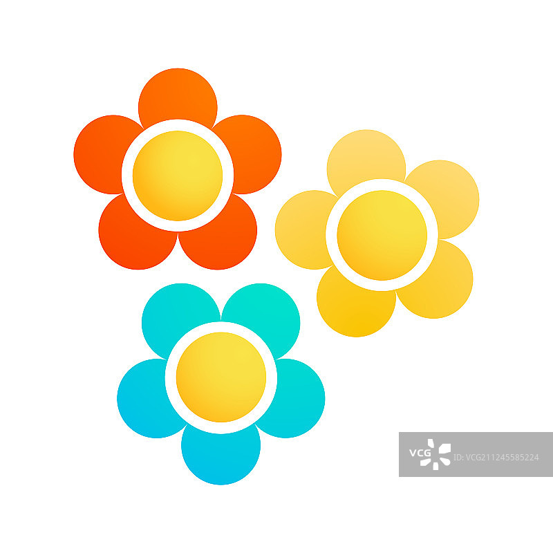 彩色玛格丽特花图片素材