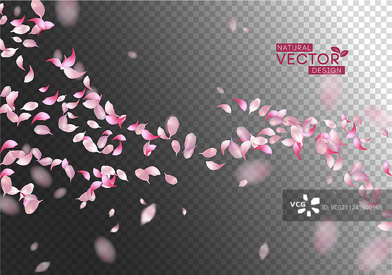 花瓣飞舞背景图片素材