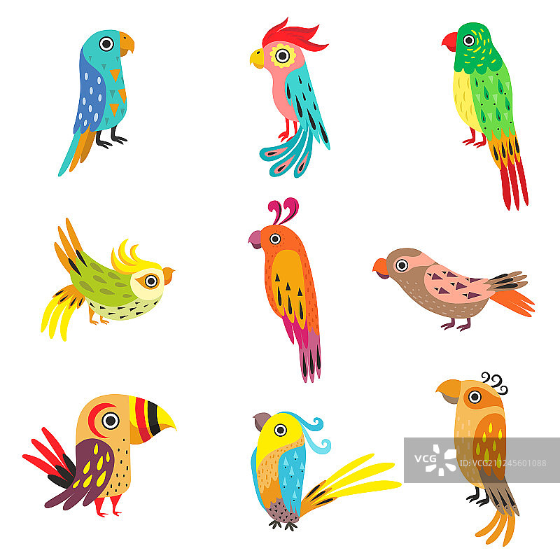 可爱彩色热带鹦鹉合集图片素材