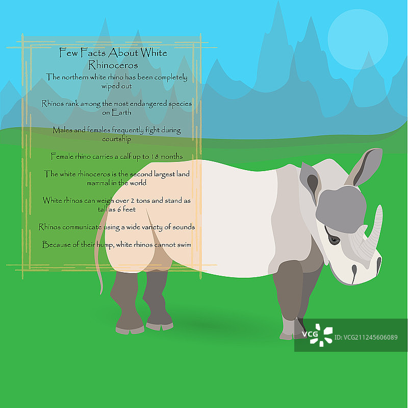 非洲白犀牛图片素材