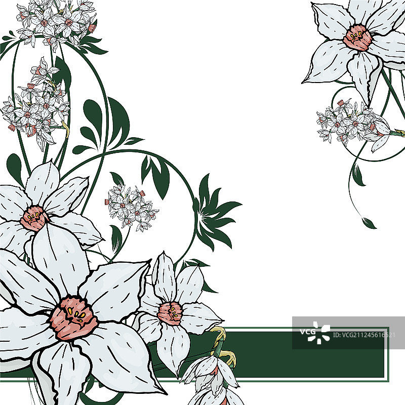 手绘水仙花背景图片素材